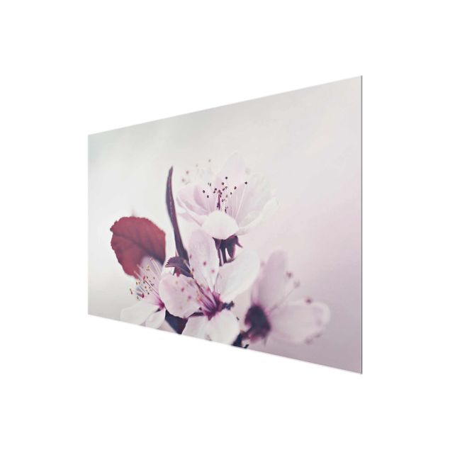 Obrazy z motywem kwiatowym Gałązka kwiatu wiśni staroróżowa