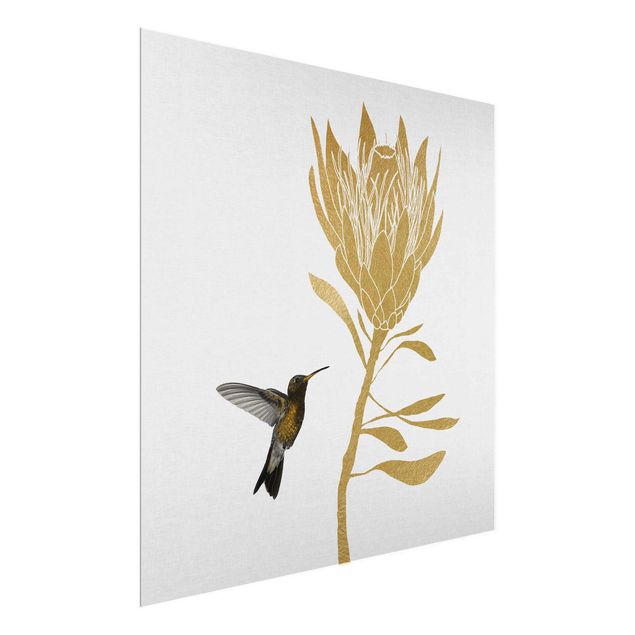 Obrazy do salonu nowoczesne Koliber i tropikalny złoty kwiat