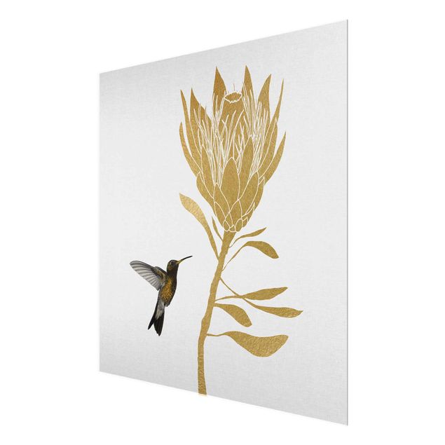 Zwierzęta obrazy Koliber i tropikalny złoty kwiat