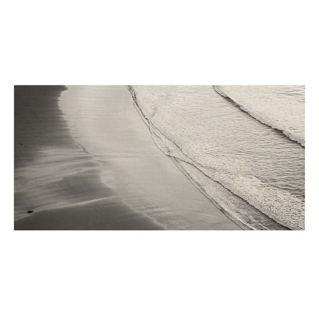 Obrazy krajobraz Lekki wiatr na plaży czarno-biały