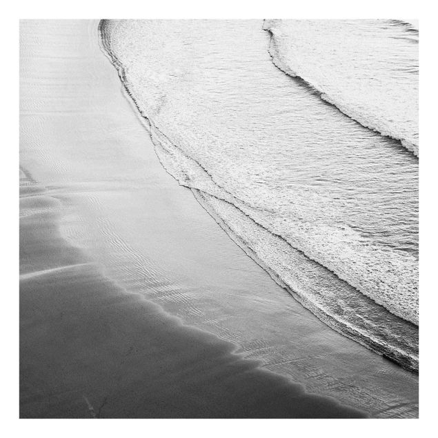 Obrazy na szkle plaża Lekki wiatr na plaży czarno-biały