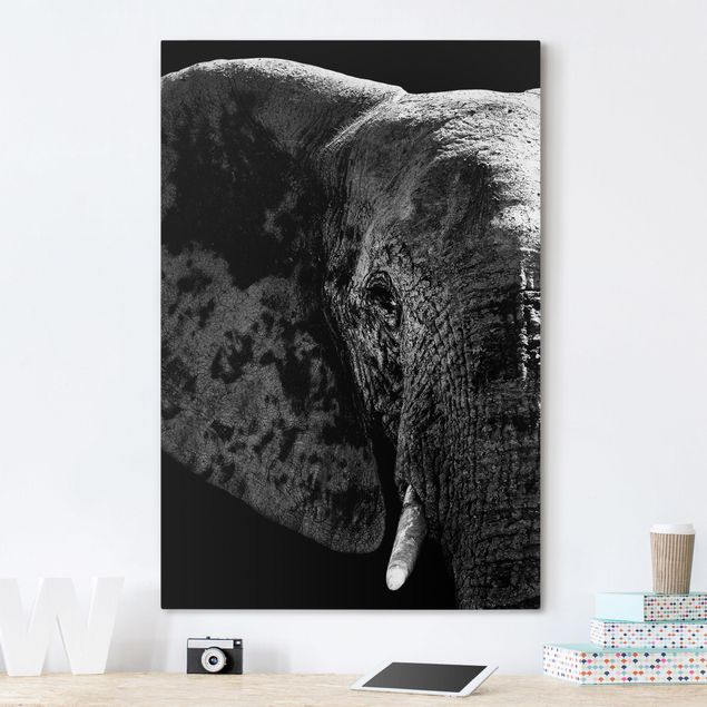 Obrazy nowoczesne Słoń afrykański czarno-biały
