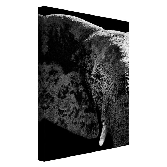 Obrazy zwierzęta Słoń afrykański czarno-biały