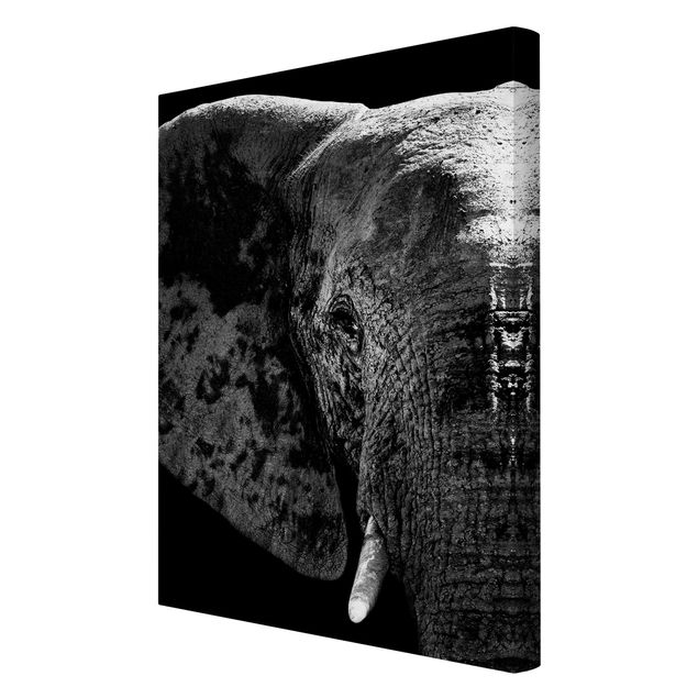 Obrazy Afryka Słoń afrykański czarno-biały
