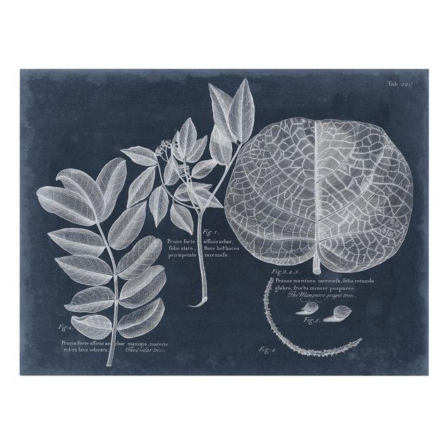 Retro obrazy Liście Ciemnoniebieski - Mangrove