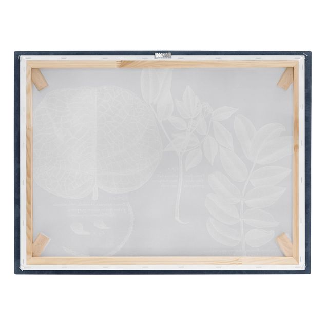 Obrazy motywy kwiatowe Liście Ciemnoniebieski - Mangrove