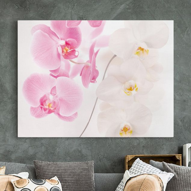 Obrazy do salonu nowoczesne Delikatne orchidee