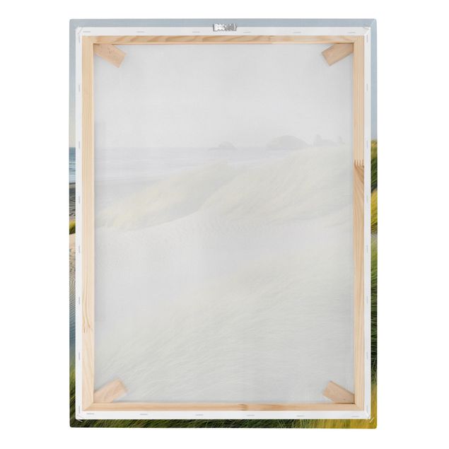 Obrazy plaża Wydmy i trawy nad morzem
