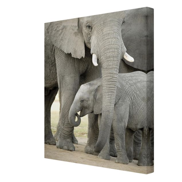 Afryka obrazy Miłość słonia