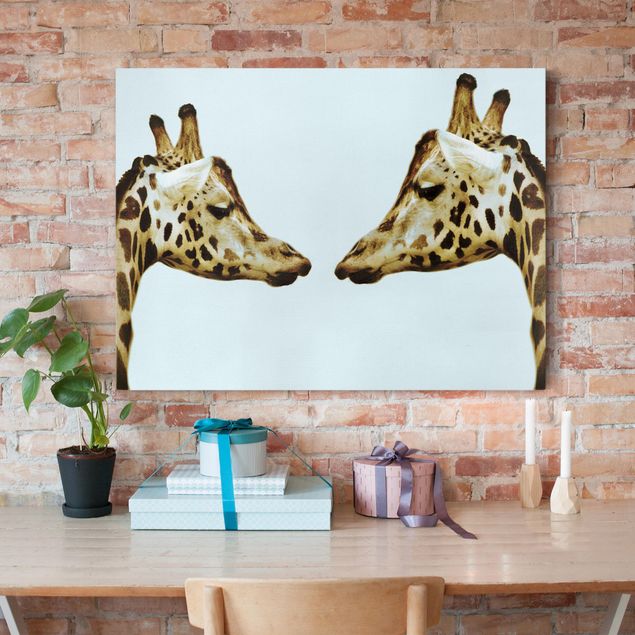 Nowoczesne obrazy do salonu Zakochane żyrafy