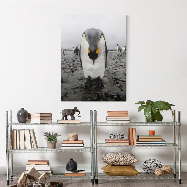 Obrazy do salonu Penguin
