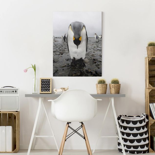 Obrazy nowoczesne Penguin