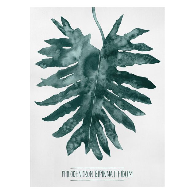 Obrazy z motywem kwiatowym Smaragd zielony Philodendron Bipinnatifidum