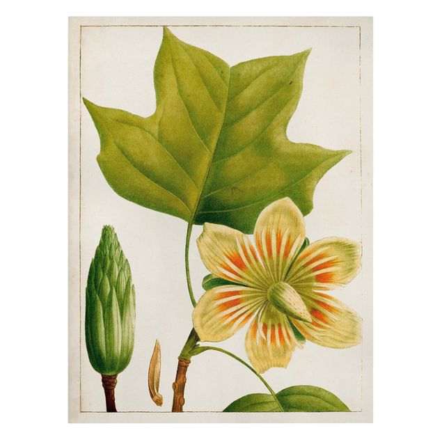 Obrazy kwiatowe Tableau Liść Kwiat Owoc IV