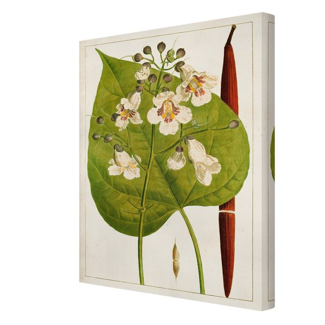 Obrazy na ścianę Tableau Liść Kwiat Owoc V