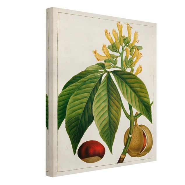 Zielony obraz Tableau Liść Kwiat Owoc VI