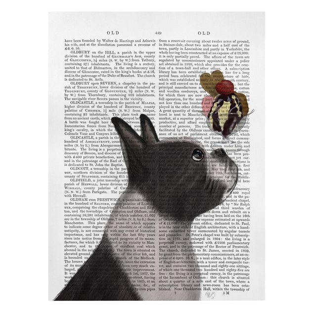 Obraz psa Czytanie o zwierzętach - Terier z lodami