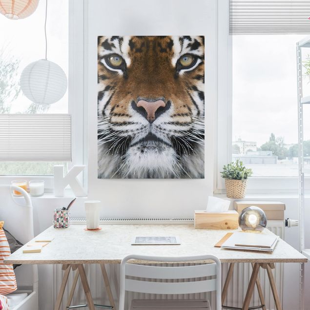 Obrazy nowoczesny Oczy tygrysa