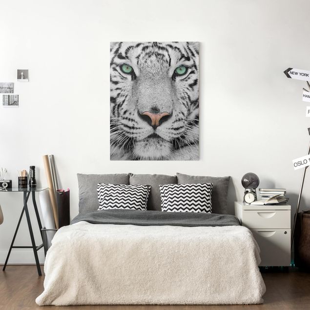 Nowoczesne obrazy do salonu Biały tygrys