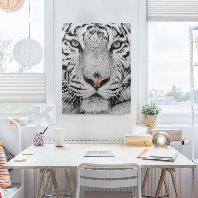 Obrazy nowoczesny Biały tygrys