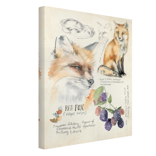 Obrazy zwierzęta Dziennik Dzikiej Przyrody - Fox