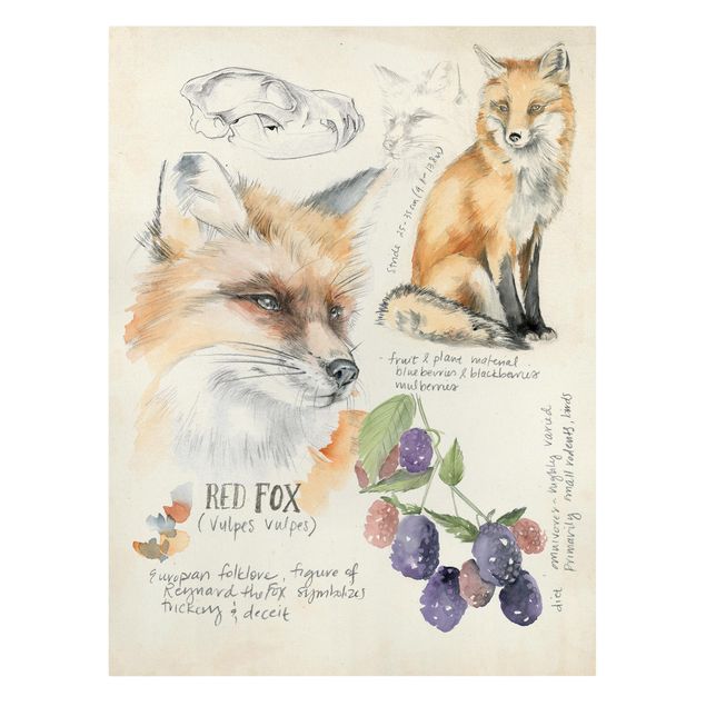 Obrazy z napisami Dziennik Dzikiej Przyrody - Fox