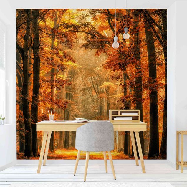 Pomarańczowa tapeta Bajkowy las jesienią