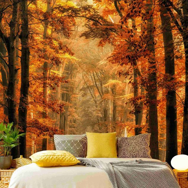 Tapety na ściany Bajkowy las jesienią