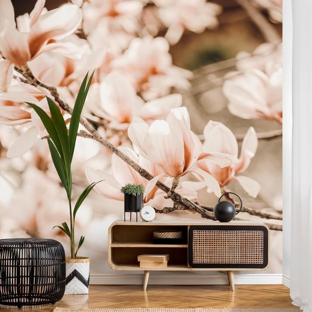 Fototapeta brązowa Gałązki magnolii w stylu vintage