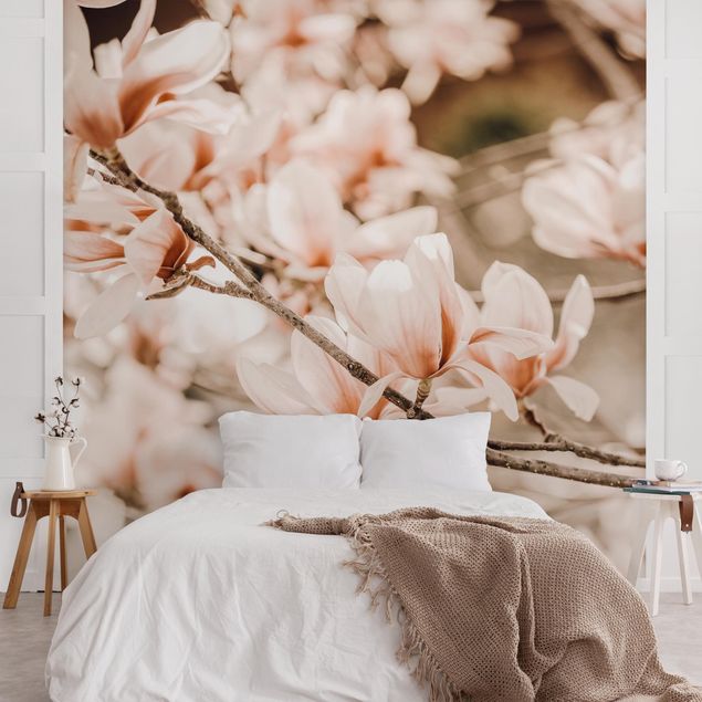 Fototapeta drzewa Gałązki magnolii w stylu vintage