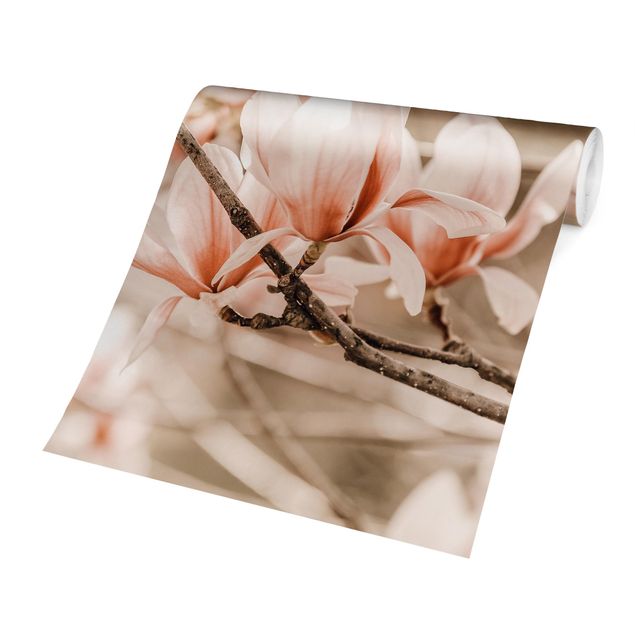 Fototapety Gałązki magnolii w stylu vintage