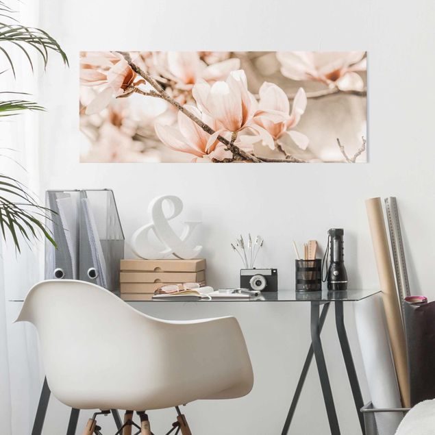Obrazy na szkle krajobraz Gałązki magnolii w stylu vintage