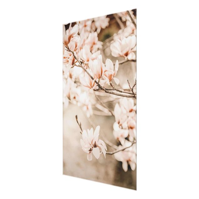 Obraz drzewo Gałązki magnolii w stylu vintage