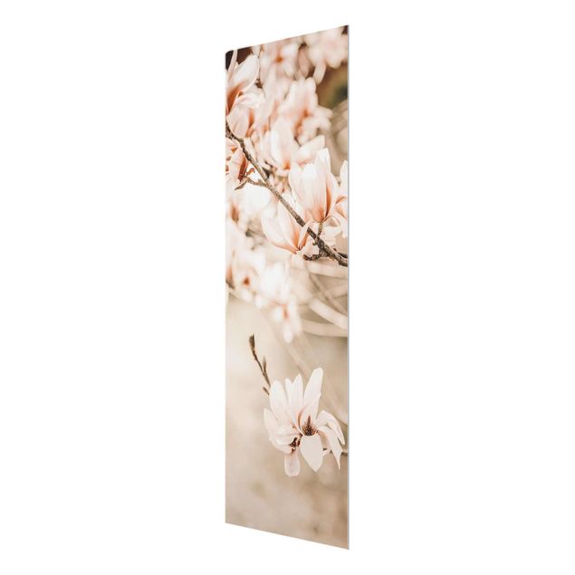 Obraz drzewo Gałązki magnolii w stylu vintage