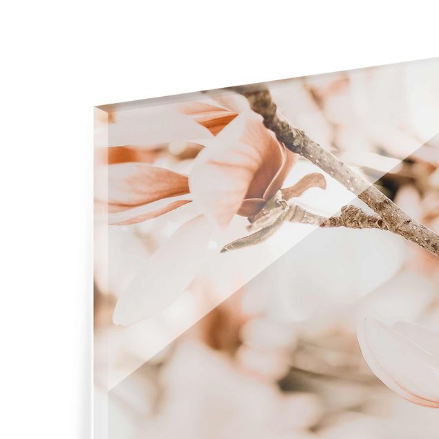 Obrazy krajobraz Gałązki magnolii w stylu vintage