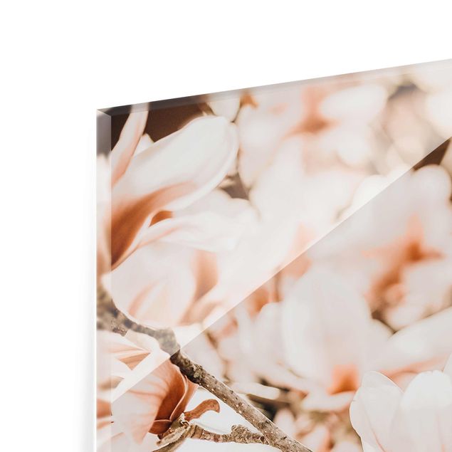 Obrazy krajobraz Gałązki magnolii w stylu vintage