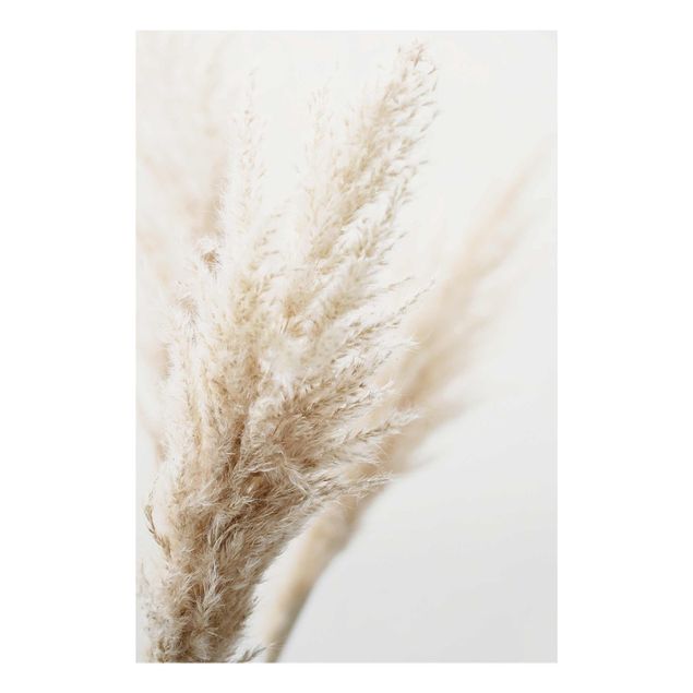 Obrazy kwiatowe Makrofotografia trawy pampasowej
