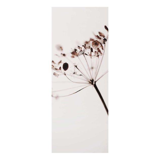 Obrazy motywy kwiatowe Makro ujęcie suszonego kwiatu w cieniu