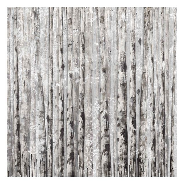 Fototapeta - Picturesque Birch Forest