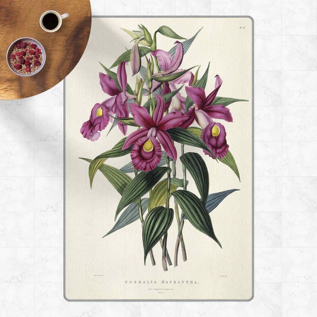 dywan kwiatowy Maxim Gauci – Orchid I