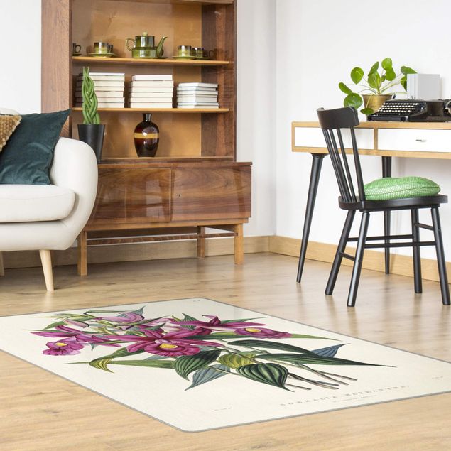 dywany nowoczesne Maxim Gauci – Orchid I