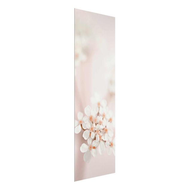 Obrazy nowoczesny Mini Blossoms w różowym świetle