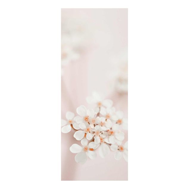 Obrazy motywy kwiatowe Mini Blossoms w różowym świetle