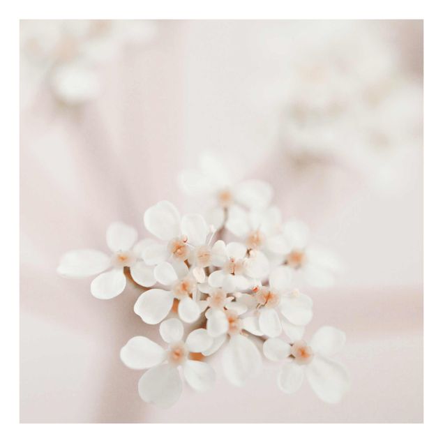 Obrazy motywy kwiatowe Mini Blossoms w różowym świetle