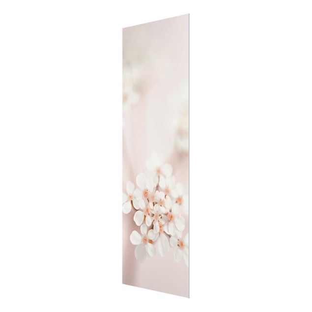 Obrazy Mini Blossoms w różowym świetle