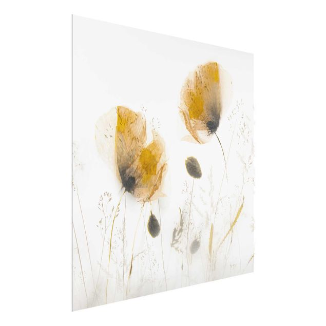 Obrazy na szkle kwadrat Maki i delikatne trawy w miękkiej mgle