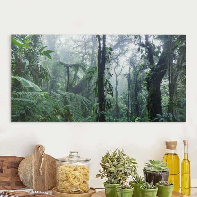 Nowoczesne obrazy do salonu Las chmur Monteverde