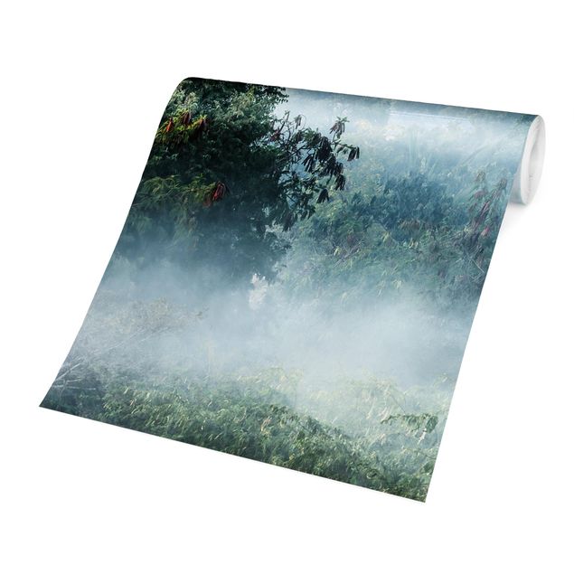 Fototapety Poranna mgła nad dżunglą Bagan
