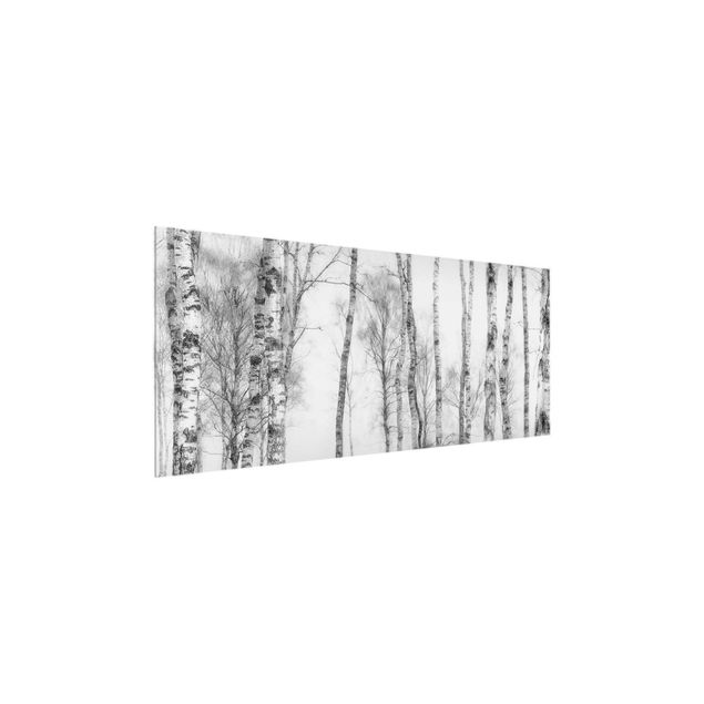 Obrazy do salonu nowoczesne Mistyczny las brzozowy czarno-biały