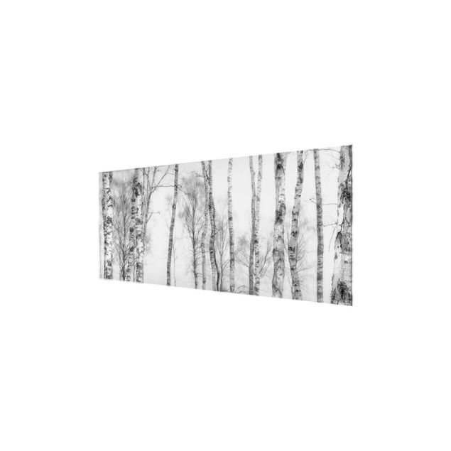 Obrazy drzewa Mistyczny las brzozowy czarno-biały